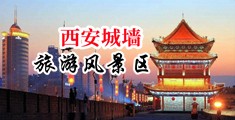女生的屄免费看操中国陕西-西安城墙旅游风景区
