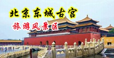 做梦操屄视频中国北京-东城古宫旅游风景区